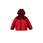 Tommy Jeans New York Hooded Jacket  Μπουφάν Puffer (KB0KB08785 SNE)