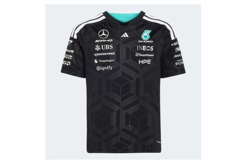 Adidas Performance Mercedes-Amg Petronas F1 Team Driver T-Shirt (KF0165)
