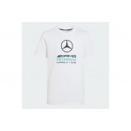 Adidas Performance Mercedes - Amg Petronas F1 Dna Graphic T-Shirt (KQ8082)