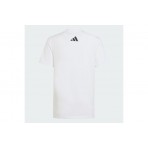 Adidas Performance Mercedes - Amg Petronas F1 Dna Graphic T-Shirt (KQ8082)