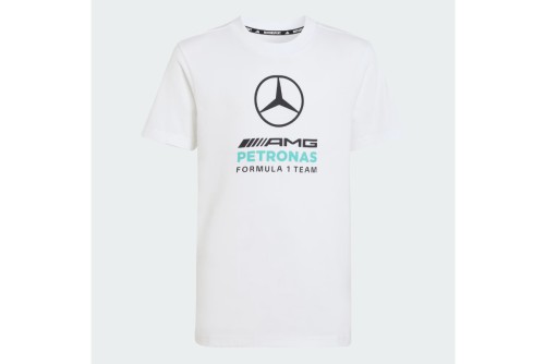 Adidas Performance Mercedes - Amg Petronas F1 Dna Graphic T-Shirt (KQ8082)