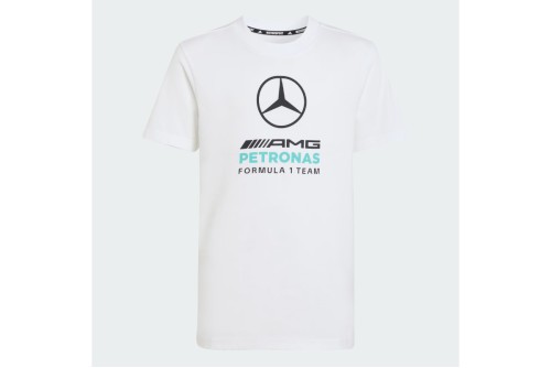 Adidas Performance Mercedes - Amg Petronas F1 Dna Graphic T-Shirt (KQ8082)