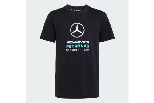 Adidas Performance Mercedes - Amg Petronas F1 Dna T-Shirt (KQ8083)