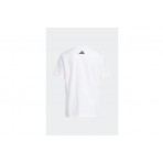 Adidas Performance Anthony Edwards Easter T-Shirt (KR0018)