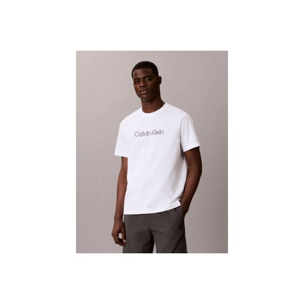 Calvin Klein Relaxed Logo T-Shirt Ανδρικό (LV04LG812G YAF)