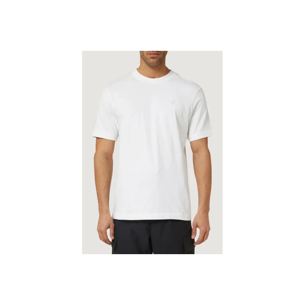 Calvin Klein Classic Monogram T-Shirt Ανδρικό (LV04RD254G YAF)
