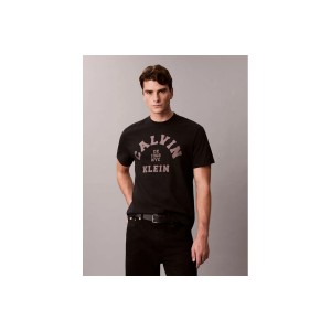 Calvin Klein Varsity Logo Graphic Relaxed T-Shirt Ανδρικό (LV04RE810G UB1)