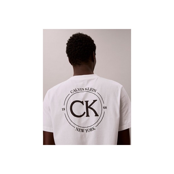 Calvin Klein Embroidered Logo T-Shirt Ανδρικό (LV04RE825G YAF)