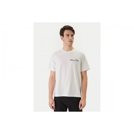 Calvin Klein Embroidered Logo T-Shirt Ανδρικό (LV04RF822G YAF)