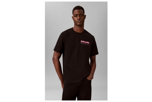 Calvin Klein Relaxed Back Logo T-Shirt Ανδρικό (LV04RG827G UB1)