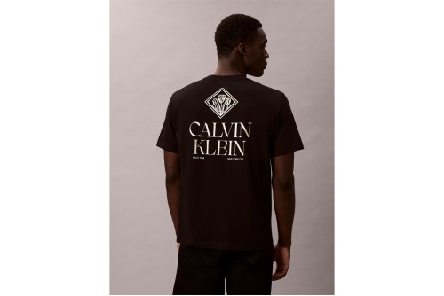 Calvin Klein Logo Roses Graphic Classic T-Shirt Ανδρικό (LV14RE801G UB1)