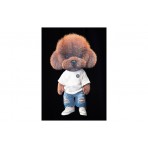 Mwm Teddy Bear Sweatwear Dog Print Regular Fit T-Shirt (MW092020456 BLACK)
