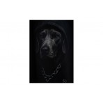 Mwm Vanguard Dogs Embroidered Vdog T-Shirt (MW092020469 BLACK)