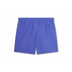 Nike 5" Volley Ανδρικό Μαγιό Σορτς Μωβ