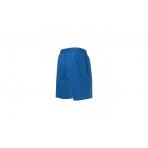 Nike Essential 15Cm Volley Μαγιό Σορτς (NESSA779 494)