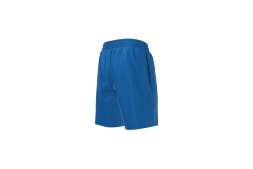 Nike Essential 15Cm Volley Μαγιό Σορτς (NESSA779 494)
