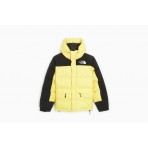 The North Face M Hmlyn Down Parka Μπουφάν Puffer (NF0A4QYX71U1)