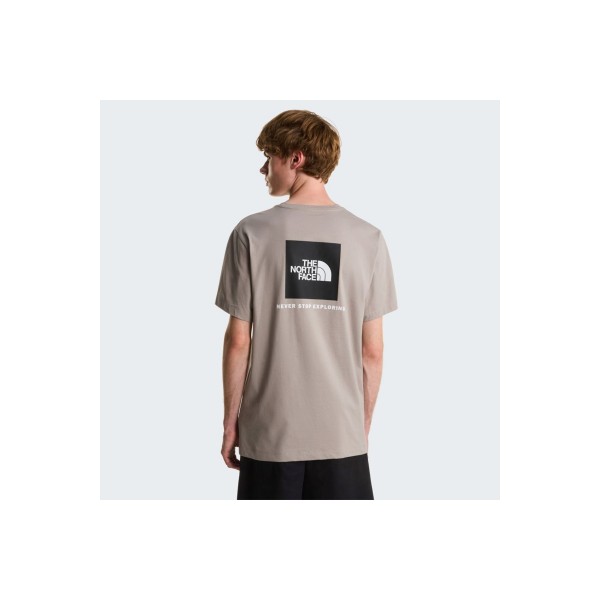 The North Face Evolution Nse Box Regular T-Shirt Ανδρικό (NF0A8B6K2MB1)
