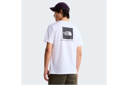 The North Face Evolution Nse Box Regular T-Shirt Ανδρικό (NF0A8B6KFN41)