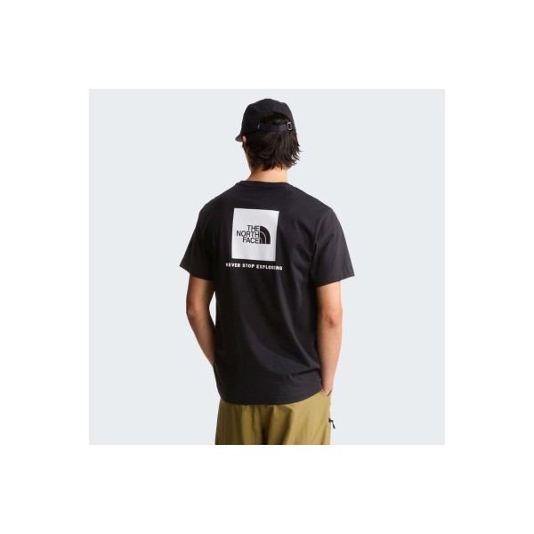The North Face Evolution Nse Box Regular T-Shirt Ανδρικό (NF0A8B6KKY41)