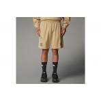 The North Face Mountain Cleanup Unisex Βερμούδα Μπεζ
