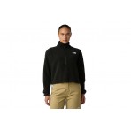 The North Face Glacier ?-Zip Μπλούζα Fleece Με Φερμουάρ Γυναικεία (NF0A8D2CJK31)