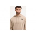The North Face Dome Flower Relaxed Graphic Φούτερ με Κουκούλα Μπεζ