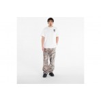 The North Face Celebration Relaxed Graphic Ανδρικό Κοντομάνικο T-Shirt Λευκό