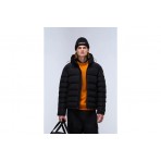 Napapijri Terez Ανδρικό Μπουφάν Puffer με Κουκούλα Μαύρο