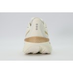 Saucony Ride 18 Αθλητικά Παπούτσια για Τρέξιμο Ζαχαρί, Μπρονζέ