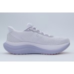 Saucony Triumph 23 Αθλητικά Παπούτσια για Τρέξιμο
