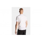 Dsquared2 Icon Cool Fit T-Shirt Ανδρικό (S79GC0003 D20020 100)