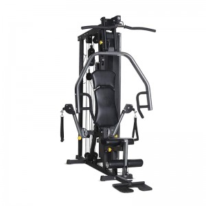 Johnson Horizon Torus 3 Πολυοργανο Γυμναστικης Με Βαρη 80Kg (TORUS 3)