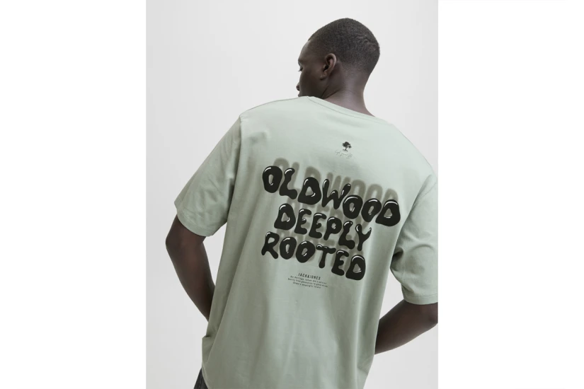 Jack And Jones Jjwobly Ανδρικό Κοντομάνικο T-Shirt Φυστικί
