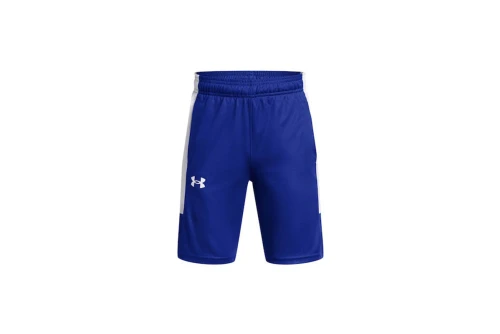 Under Armour Baseline Σορτς Αθλητικό (1383402 400)