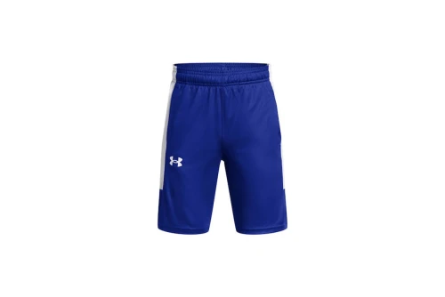 Under Armour Baseline Σορτς Αθλητικό (1383402 400)