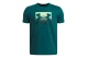 Under Armour Boxed Sports Update Παιδικό Κοντομάνικο T-Shirt Κυπαρισσί