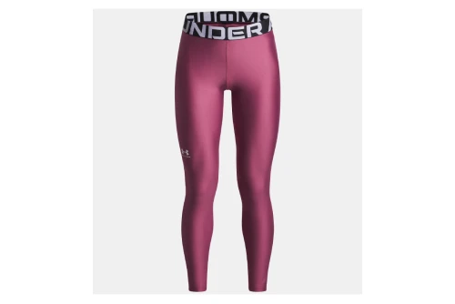 Under Armour Heatgear Κολάν Μακρύ Γυναικείο (1390069 659)