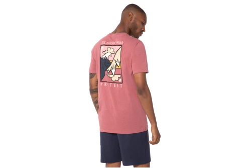 Protest Prtabdiel T-Shirt (1714021 776)