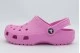 Crocs Classic Σαμπό Φούξια