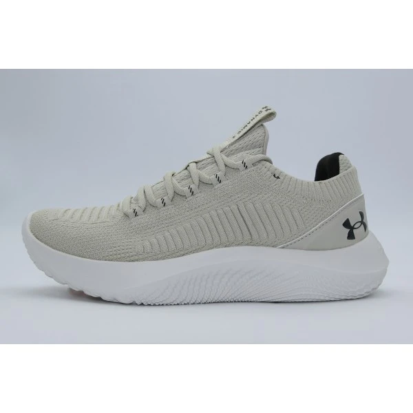 Under Armour Dynamic 2 Παπούτσια Γυμναστηρίου - Προπόνησης (3028077-289)