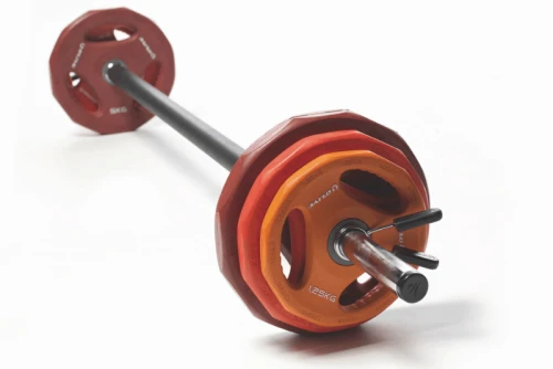 Real-Motion Power Disk Complete Set (362 49977)