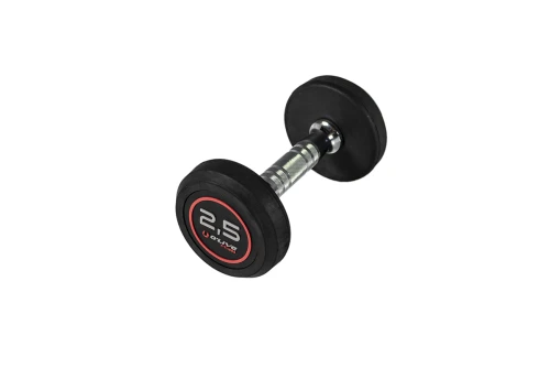 Real-Motion Αλτήρες Pro-Style Rubber 2,5Kg (362 55552)