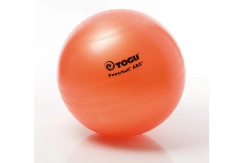 Real-Motion Μπάλα Fitball Powerball Abs 65Cm Terra (362 56566)