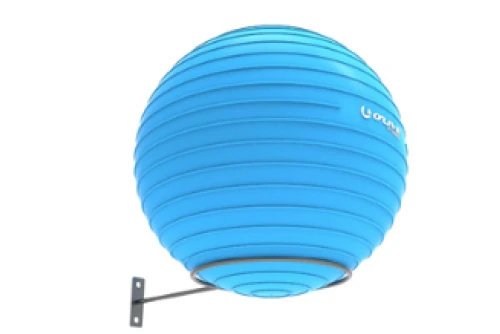 Real-Motion Βαση Τοιχου Για Fitness Ball (362 57203)