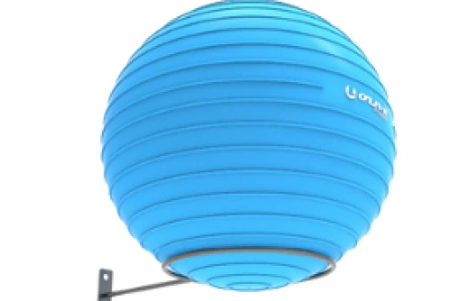 Real-Motion Βαση Τοιχου Για Fitness Ball (362 57203)
