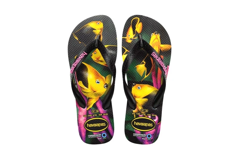 Havaianas Conversation International Σαγιονάρες Πολύχρωμες