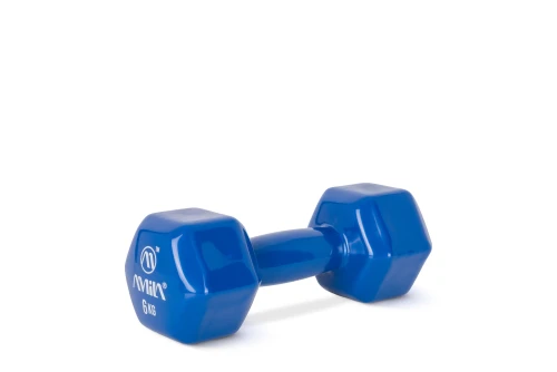 Amila Amila Vinyl Dumbbell 6Kg (44120)