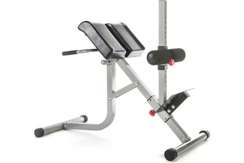Amila Roman Chair With Hyperextension (44716)
