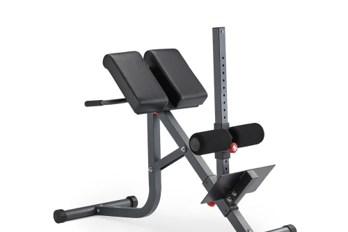 Amila Roman Chair With Hyperextension (44716)